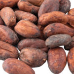 Cacao beans