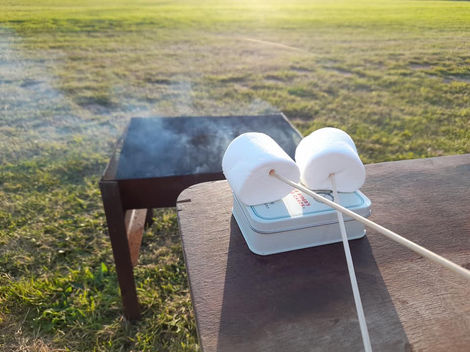 two marshmallows on sticks in front of a firepit